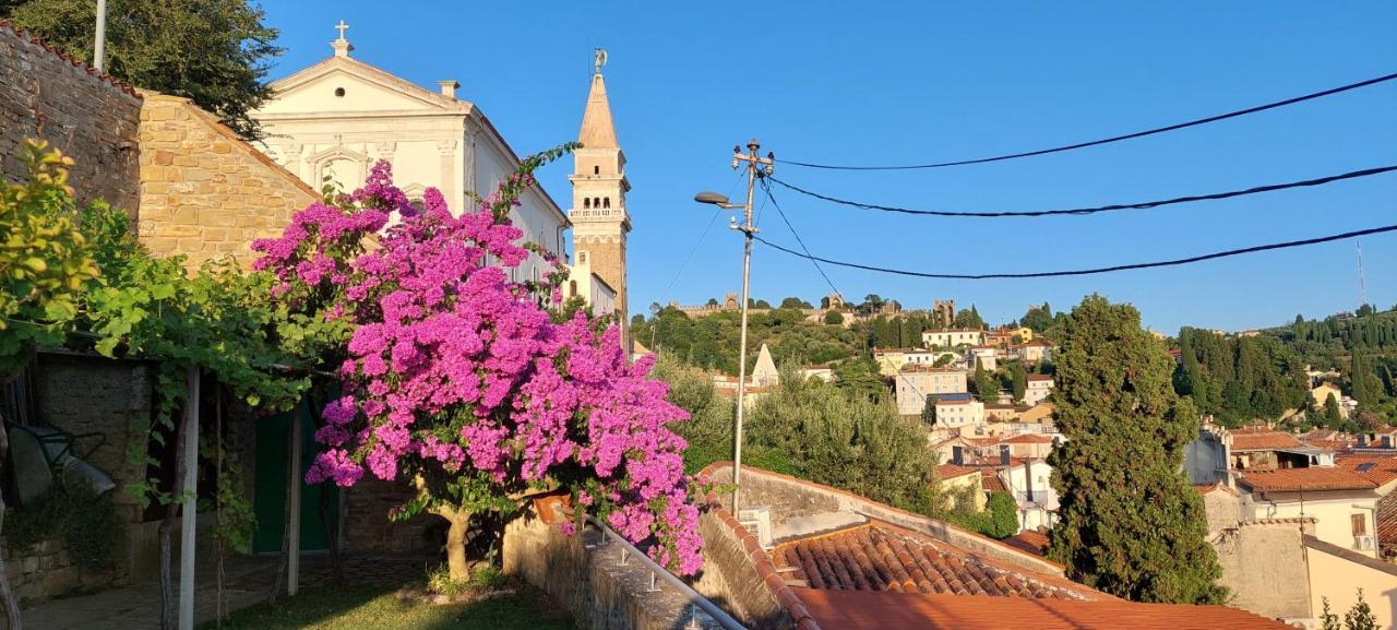 Holiday Home Amazing View بيران المظهر الخارجي الصورة